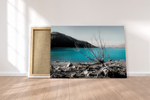 New Zealand Lake Tekapo Travel Photography Canvas Print