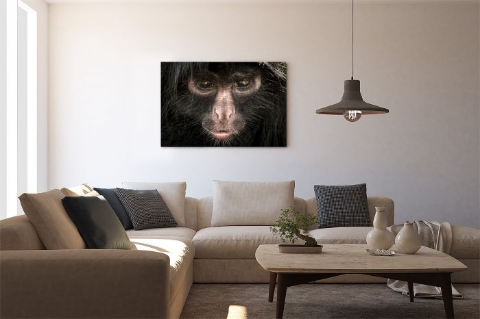 Shop Canvas Print Spider Monkey Portrait Stare Amazon Peru on a Wall