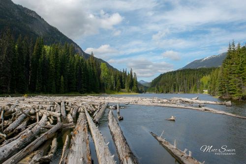 British Colombia Canada Trees on a Lake Travel Photography Canvas Print