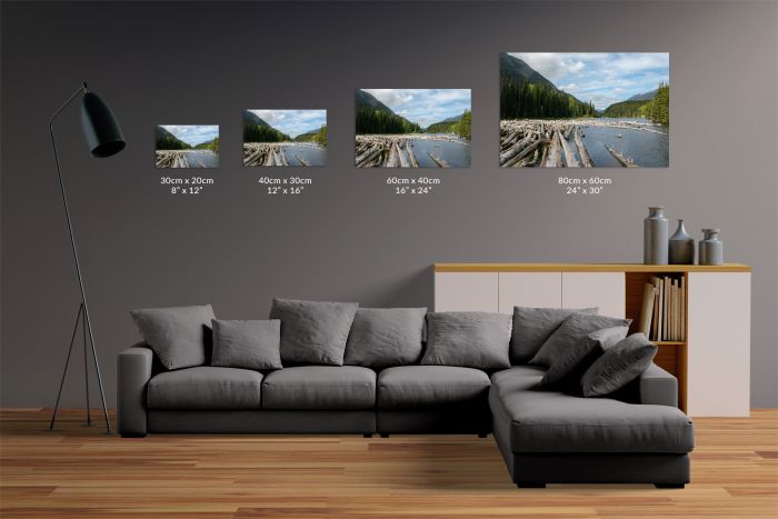 British Colombia Canada Trees on a Lake Travel Photography Canvas Print