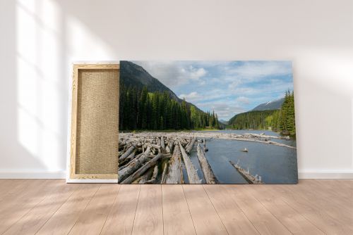 British Colombia Canada Trees on a Lake Travel Photography Canvas Print