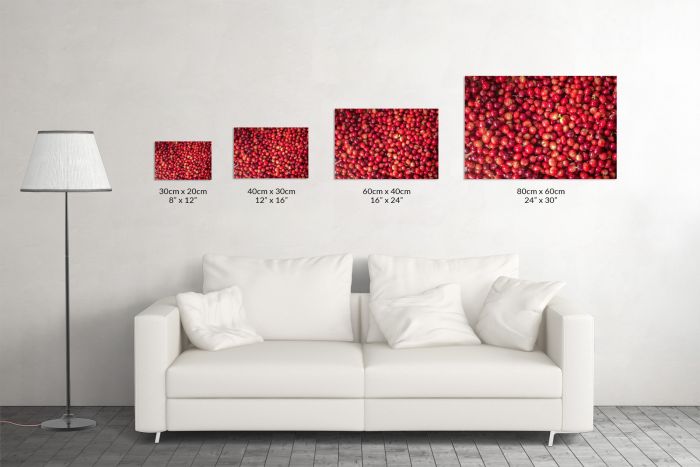 Canvas Print Coffee Beans Colombia Size Guide
