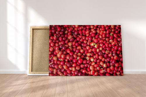 Canvas Print Coffee Beans Colombia