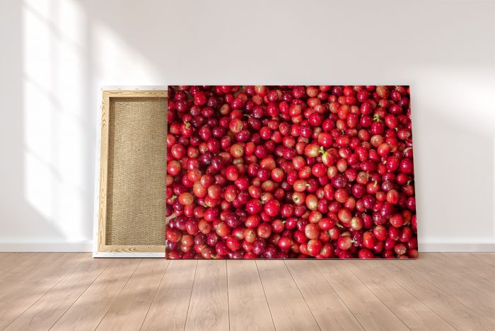 Canvas Print Coffee Beans Colombia