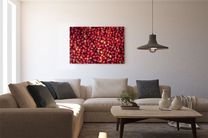 Canvas Print Coffee Beans Colombia on a Wall