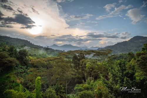 Canvas Print Countryside Antioquia Colombia