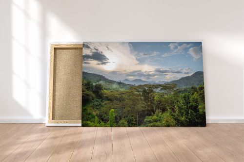 Canvas Print Countryside Antioquia Colombia