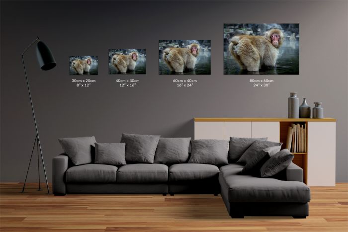 Shop Canvas Print Cheeky Snow Macaque Monkey Japan Size Guide