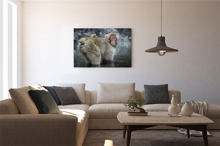 Shop Canvas Print Cheeky Snow Macaque Monkey Japan on a Wall