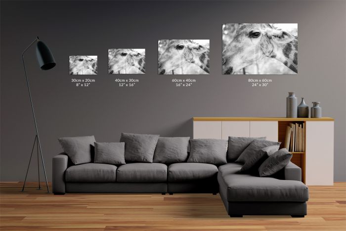 Canvas Print Giraffe Portrait Black & White