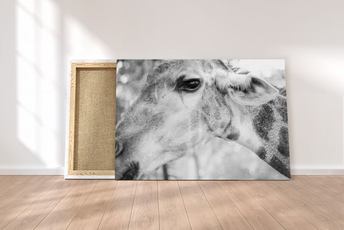 Canvas Print Giraffe Portrait Black & White