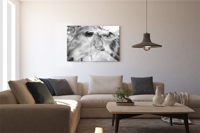 Canvas Print Giraffe Portrait Black & White