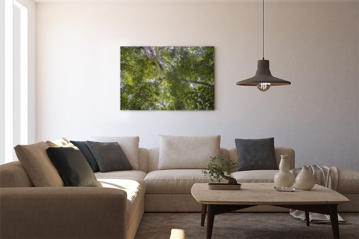 Jungle Sumatra Indonesia Travel Photography Canvas Print