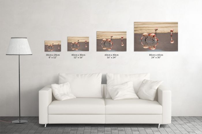 Salar de Uyuni Salt Flats Bolivia Flamingoes Water Pink Travel Photography Canvas Print