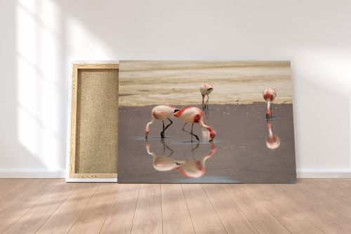 Salar de Uyuni Salt Flats Bolivia Flamingoes Water Pink Travel Photography Canvas Print