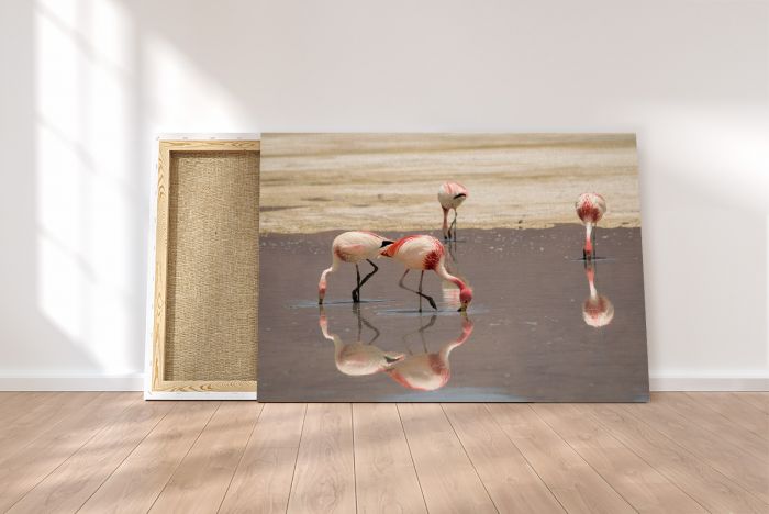 Salar de Uyuni Salt Flats Bolivia Flamingoes Water Pink Travel Photography Canvas Print