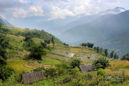 Sapa Vietnam Rice Fields Hills Travel Photography Canvas Print