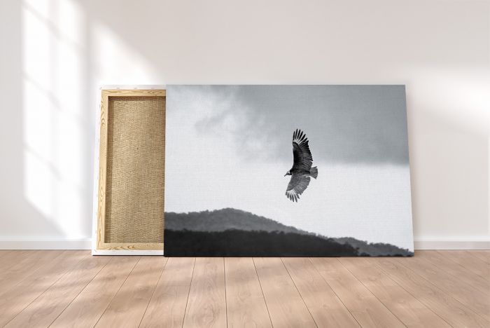Vulture Soaring in the Sky Wildlife Colombia Travel Photography Canvas Print