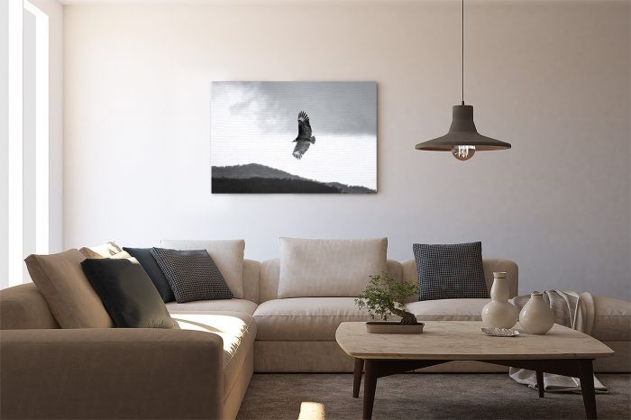 Vulture Soaring in the Sky Wildlife Colombia Travel Photography Canvas Print