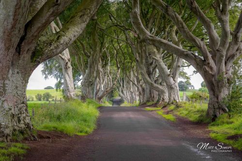 Canvas Print The Dark Hedges Game of Thrones Northern Ireland