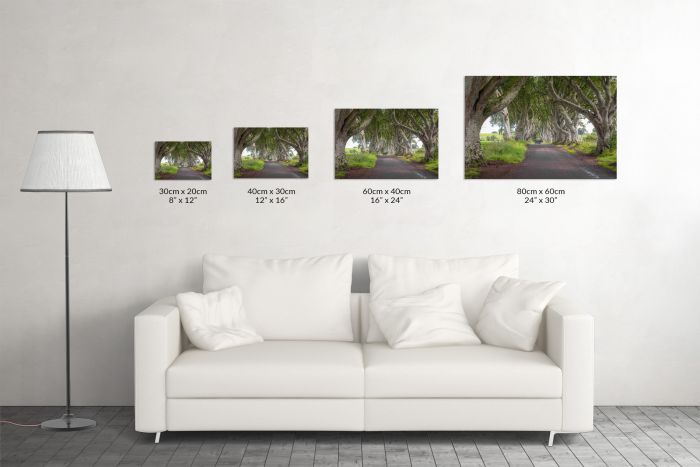 Canvas Print The Dark Hedges Game of Thrones Northern Ireland Size Guide