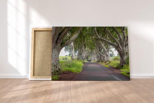 Canvas Print The Dark Hedges Game of Thrones Northern Ireland