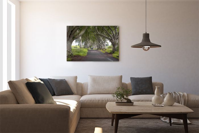 Canvas Print The Dark Hedges Game of Thrones Northern Ireland on a Wall