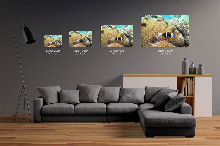 Canvas Print The Great Barrier Reef Size Guide