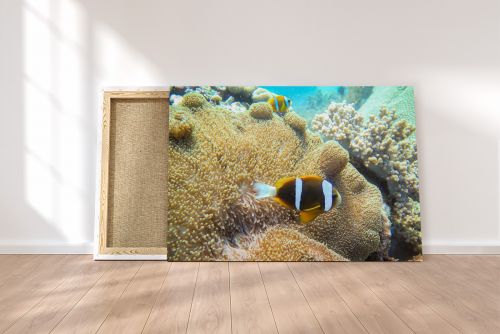 Canvas Print The Great Barrier Reef on a Canvas