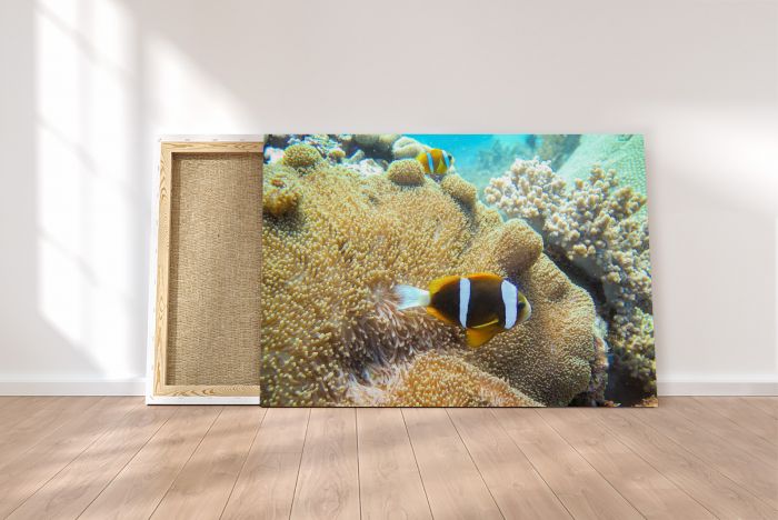 Canvas Print The Great Barrier Reef on a Canvas