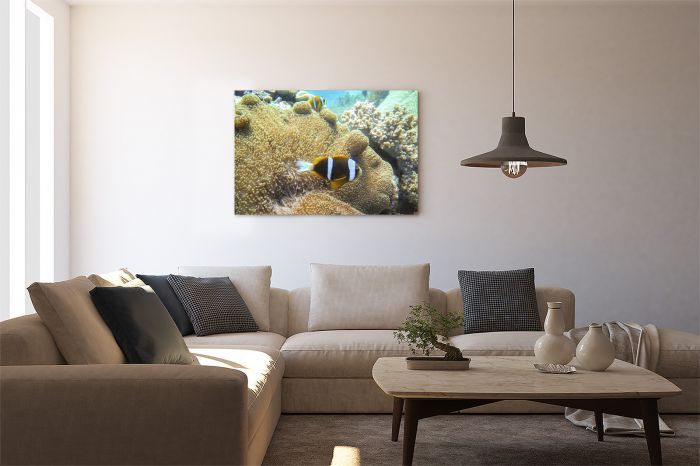 Canvas Print The Great Barrier Reef on a Wall