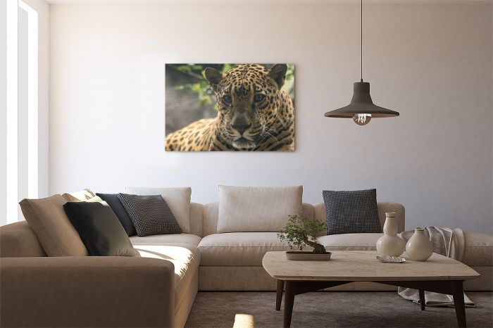 Jaguar Portrait Costa Rice Travel Photography Canvas Print