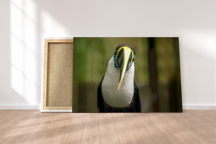 Canvas Print Toucan Portrait Close Up