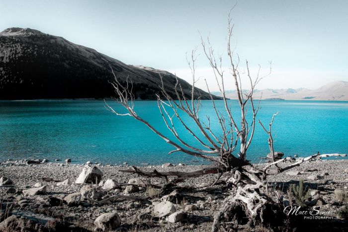 New Zealand Lake Tekapo Travel Photography Canvas Print