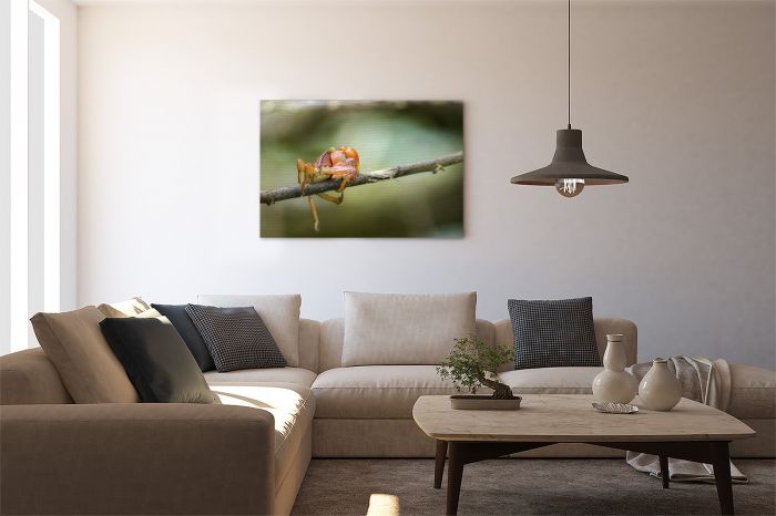 Canvas Print Walking Fine Lines on a Wall