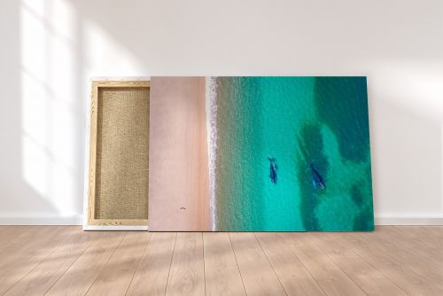 Drone Aerial Whales Beach Argentina Patagonia Travel Photography Canvas Print