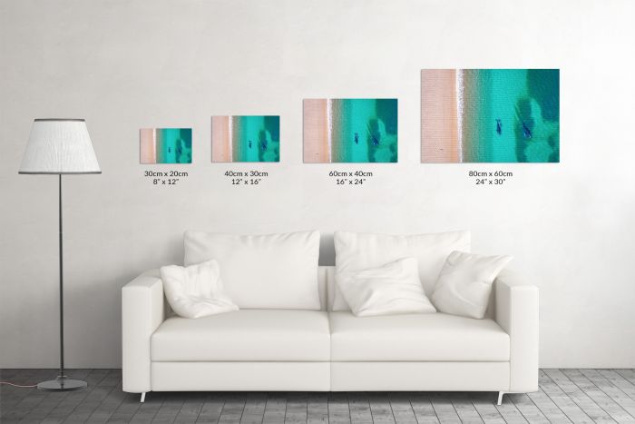 Drone Aerial Whales Beach Argentina Patagonia Travel Photography Canvas Print