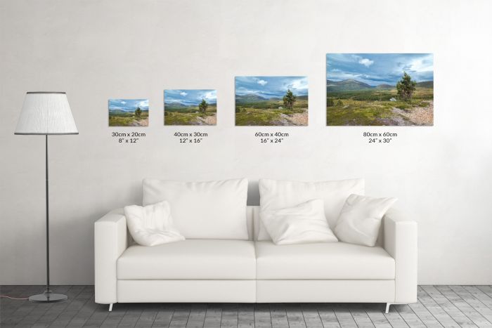 Canvas Print Windy Cairngorms Scotland Size Guide