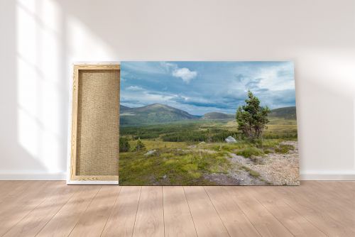 Canvas Print Windy Cairngorms Scotland