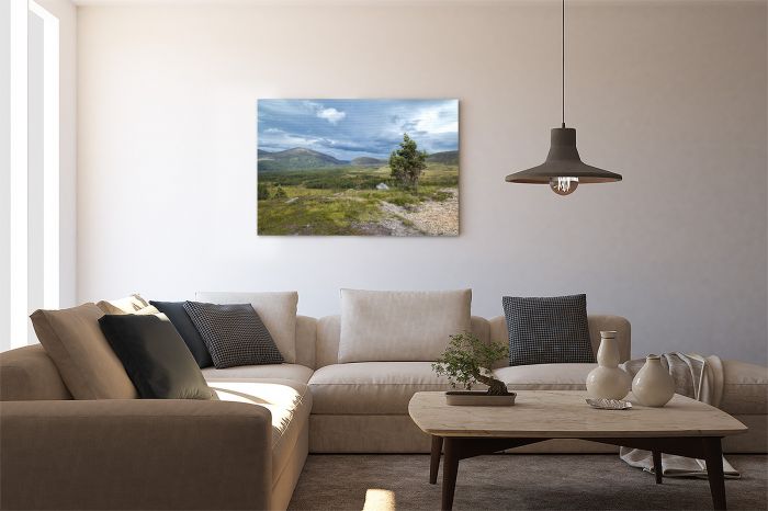 Canvas Print Windy Cairngorms Scotland on a Wall