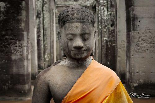 Matt Senior Photography Shop Canvas Print Buddhist Culture