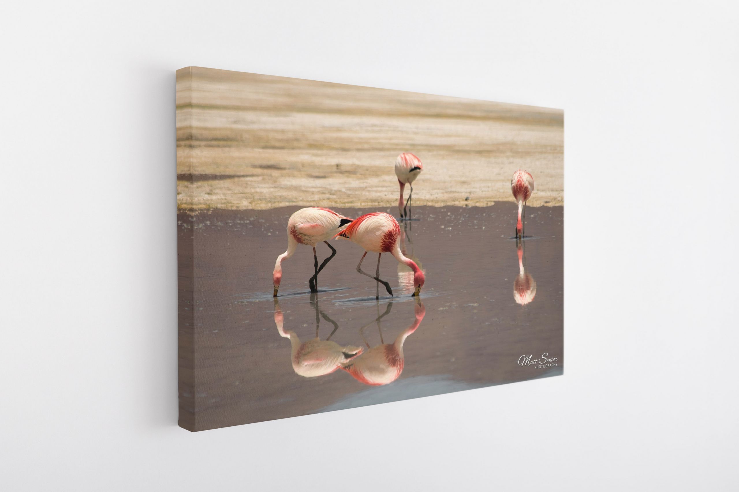 Salar de Uyuni Salt Flats Bolivia Flamingoes Water Pink Travel Photography Canvas Print
