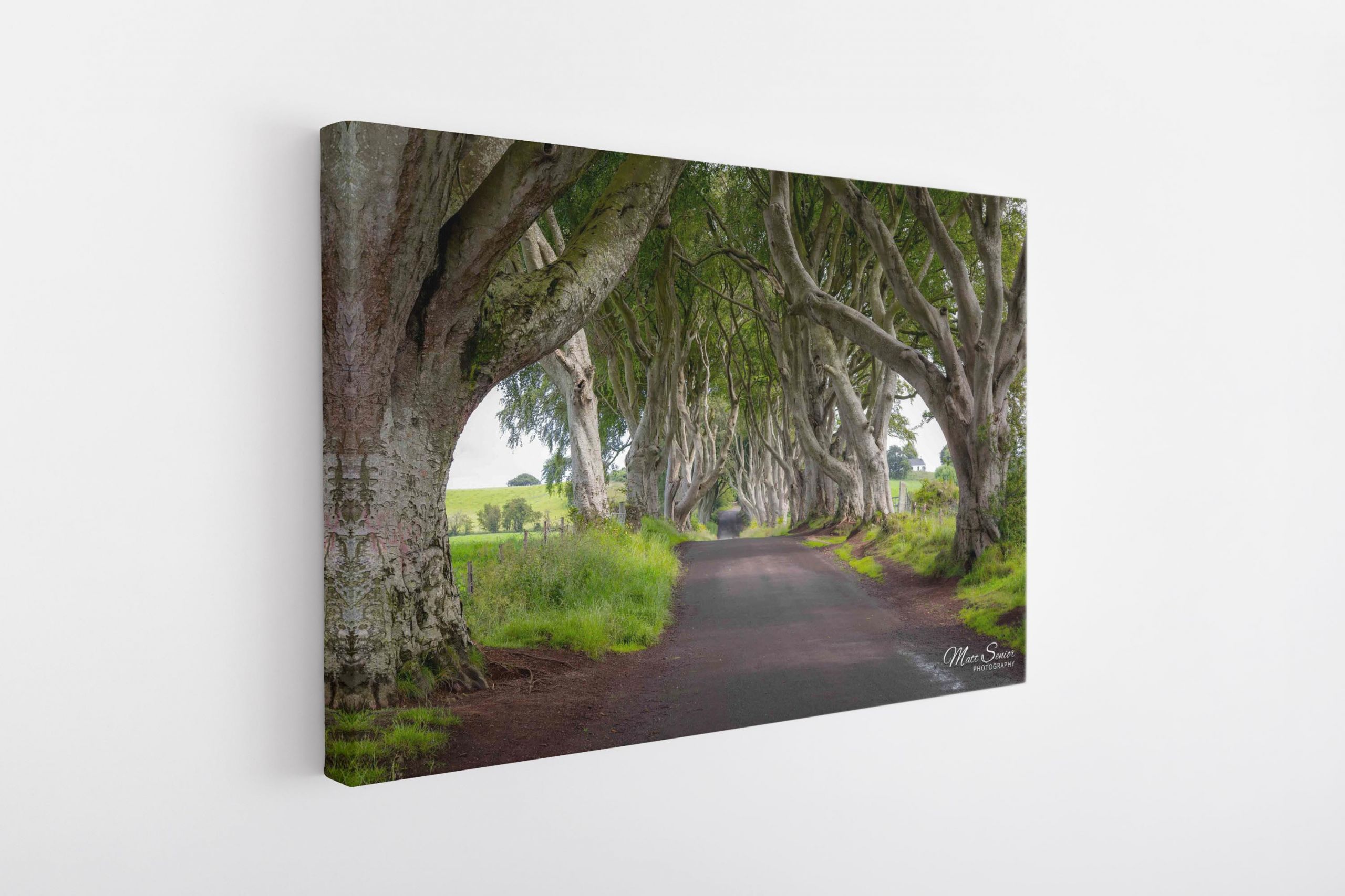 Dark Hedges Northern Ireland Travel Photography Canvas Print