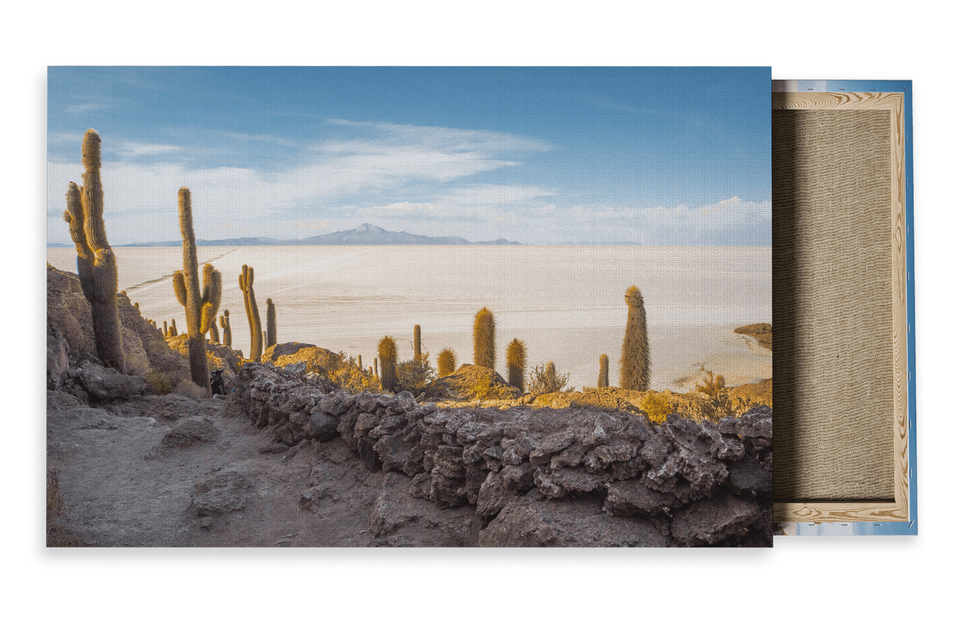 Wildlife Travel Photography Canvas For Sale