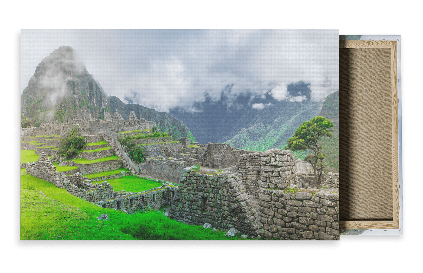 Wildlife Travel Photography Canvas For Sale
