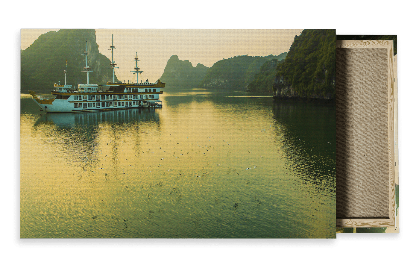 Wildlife Travel Photography Canvas For Sale