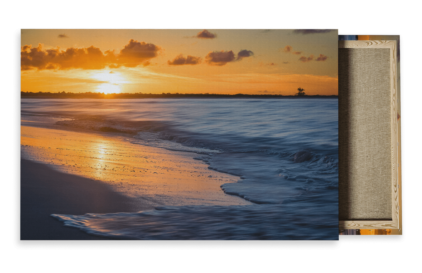 Wildlife Travel Photography Canvas For Sale