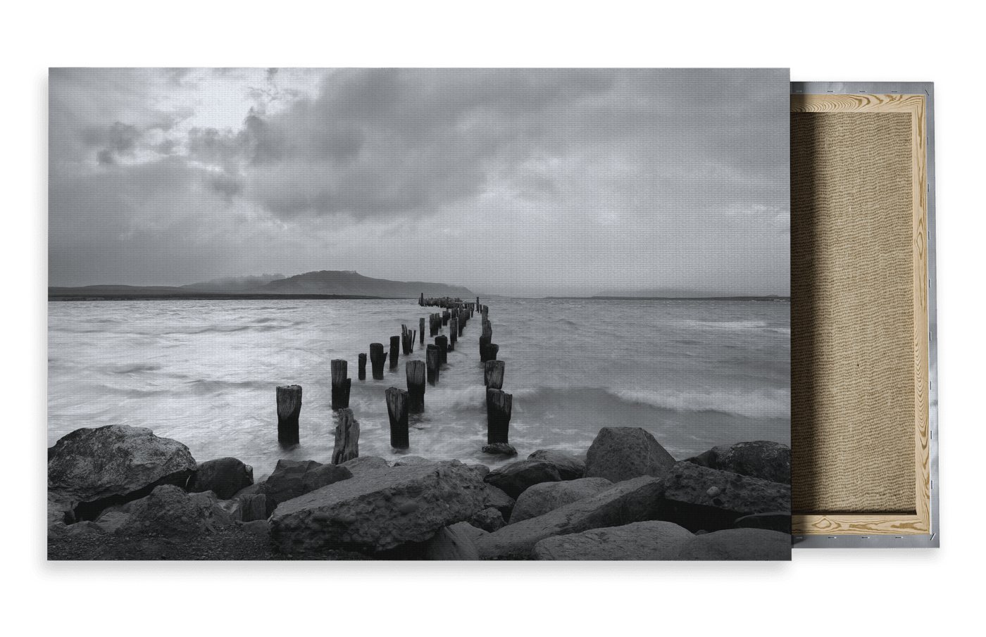 Wildlife Travel Photography Canvas For Sale