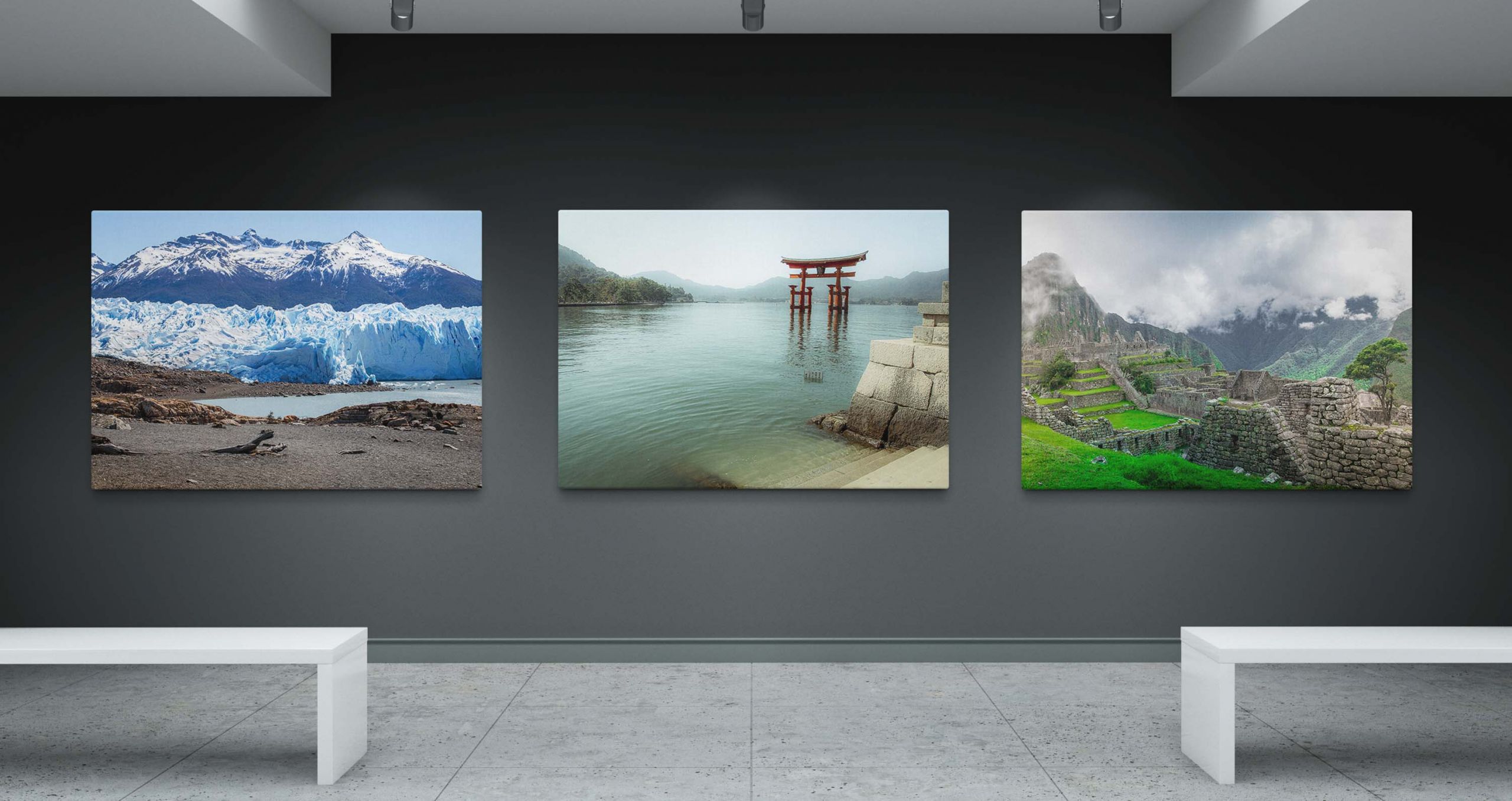 Wildlife and Travel Photography Canvas Prints Home Image