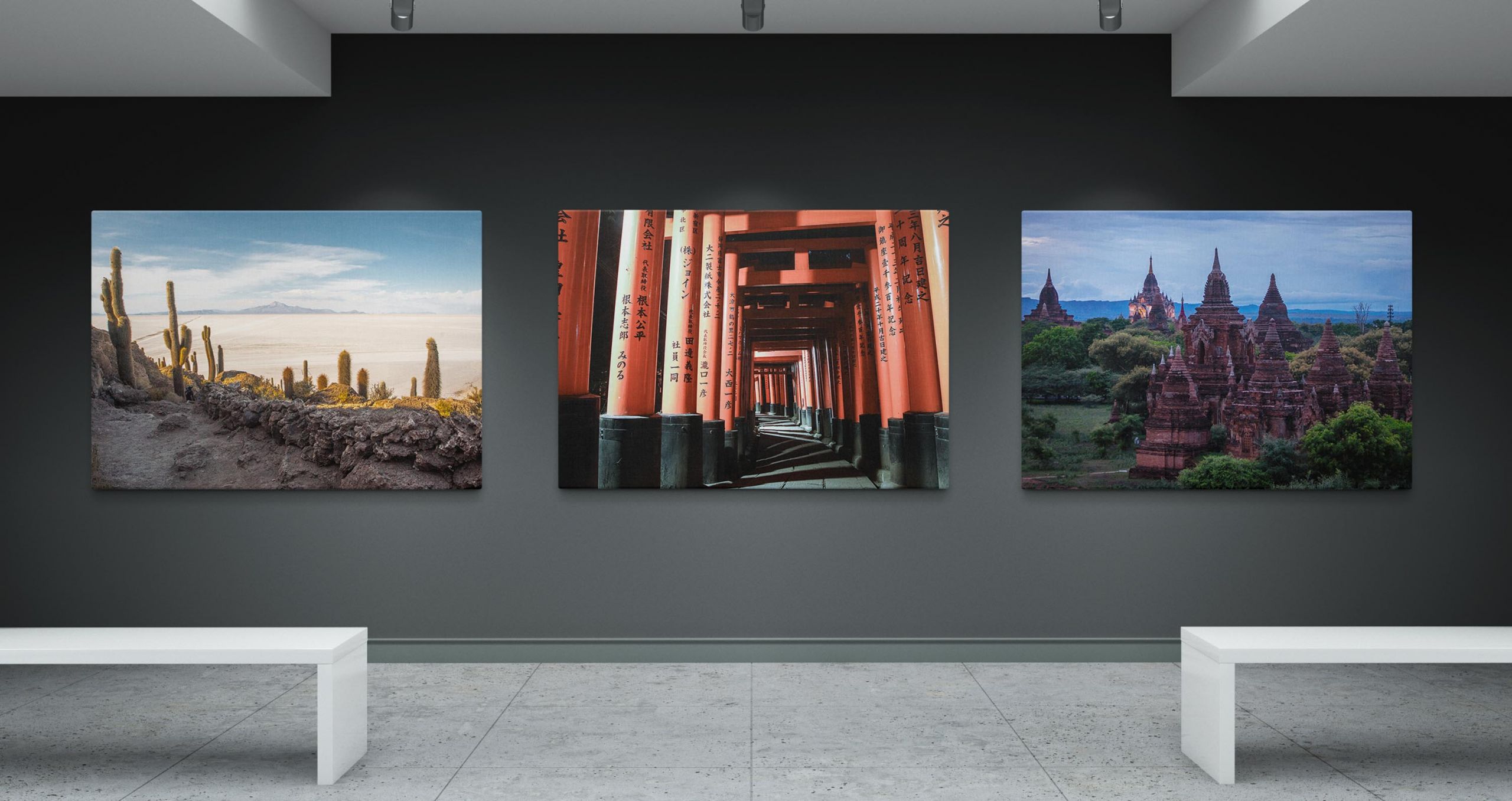 Wildlife and Travel Photography Canvas Prints Home Image